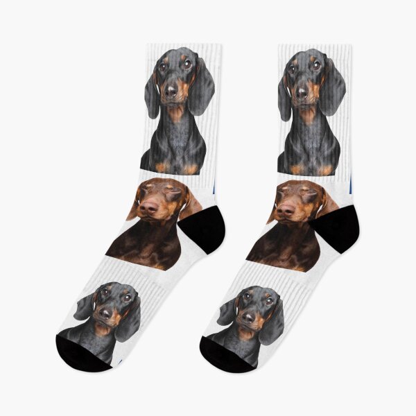 Item preview, Dachshund Kiwi HSV apron and more... designed and sold by Malorenz.