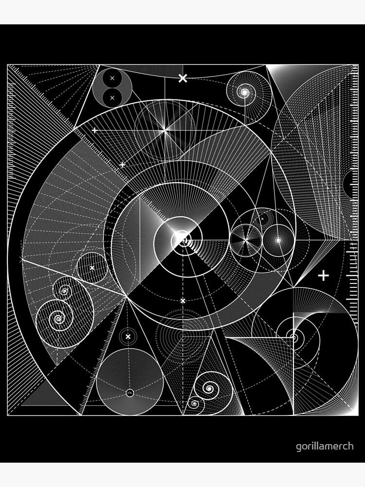 geometry nature transcend fibonacci sequence