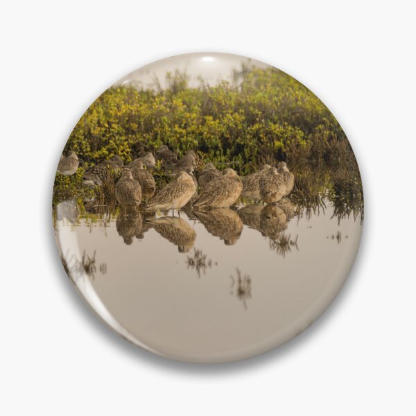 Item preview, Marbled Godwits Resting and Reflecting designed and sold by Debra Martz.