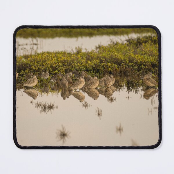 Item preview, Marbled Godwits Resting and Reflecting designed and sold by Debra Martz.