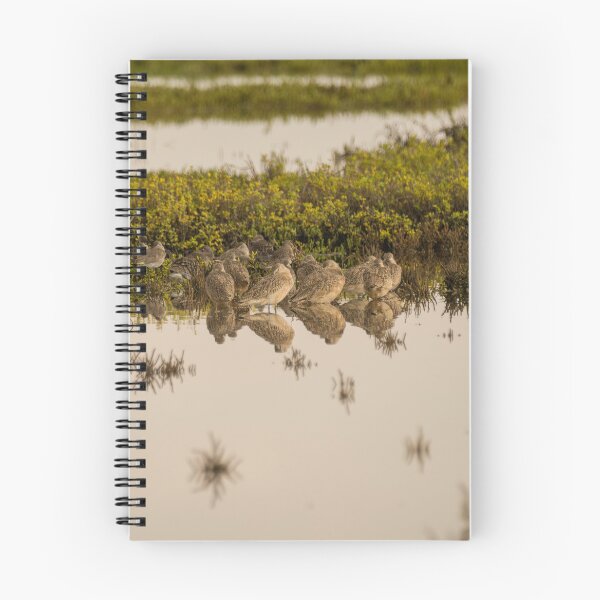 Item preview, Marbled Godwits Resting and Reflecting designed and sold by Debra Martz.