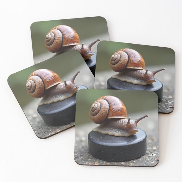 Item preview, Snail rests on a black ice hockey puck designed and sold by Mianku | Für das Leben.
