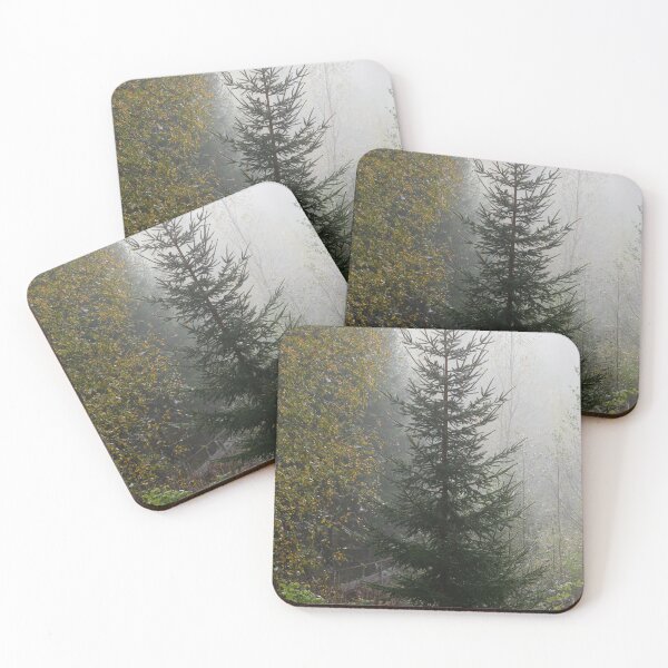 Item preview, Spruce in the fog. Parkkuu 2025 designed and sold by Jouko Lehto Photography.