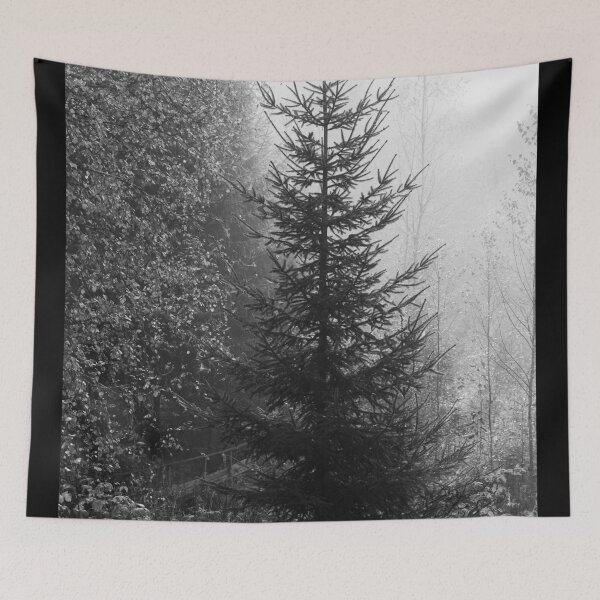 Item preview, Spruce in the fog. Parkkuu 2025 bw designed and sold by Jouko Lehto Photography.