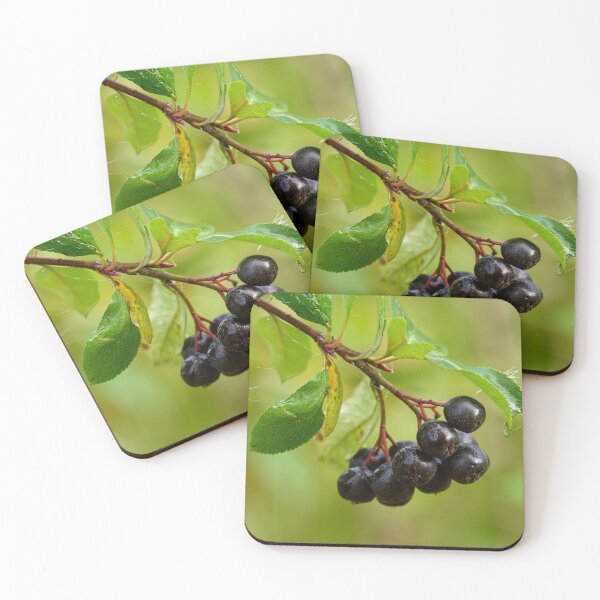 Item preview, Aronia mitschurinii black berries designed and sold by Jouko Lehto Photography.