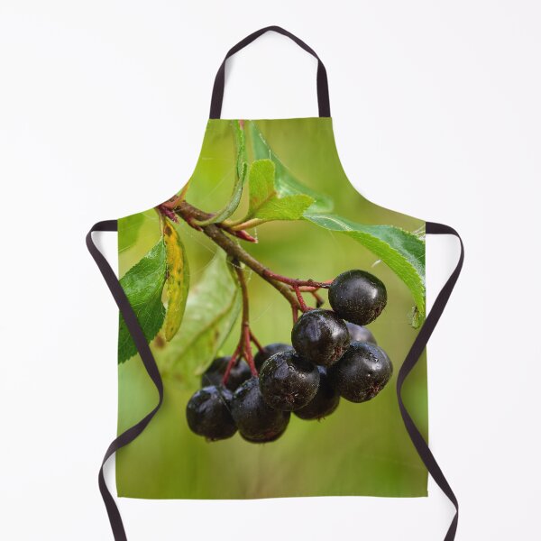 Item preview, Aronia mitschurinii black berries designed and sold by Jouko Lehto Photography.