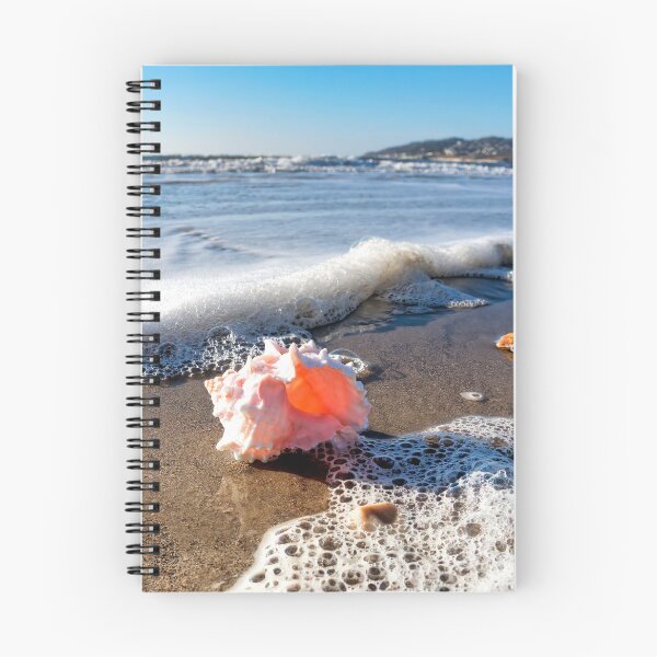 Item preview, Rose Murex Shell on the Beach designed and sold by Dorset Girl.