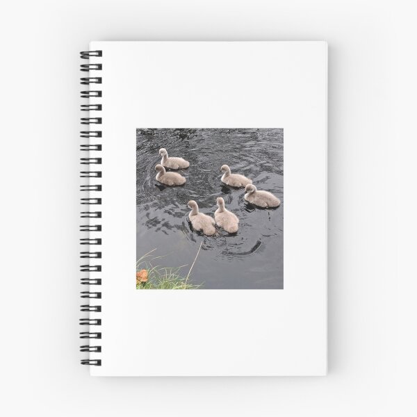 Item preview, Black Swan  Six Cygnets – Netherlands Autumn designed and sold by Hendrikslager.