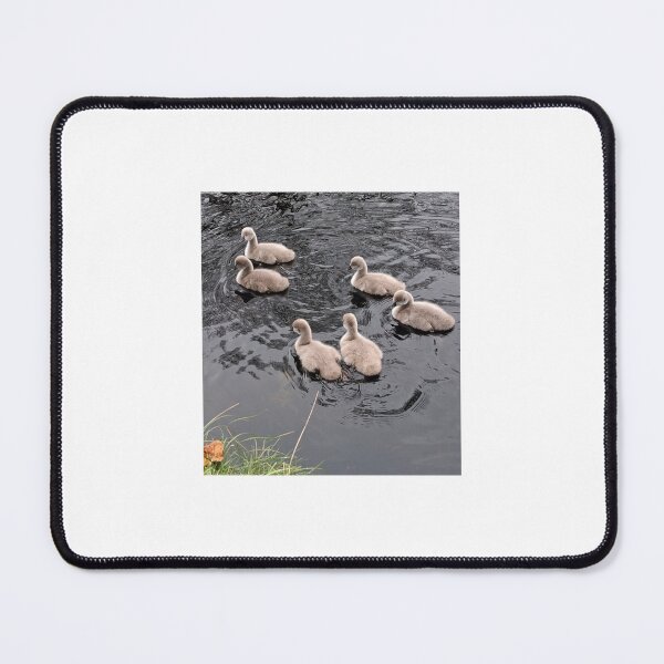 Item preview, Black Swan  Six Cygnets – Netherlands Autumn designed and sold by Hendrikslager.