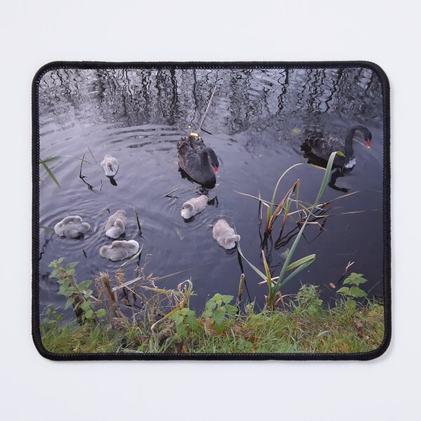Item preview, Black Swan Family with Six Cygnets – Netherlands Autumn designed and sold by Hendrikslager.