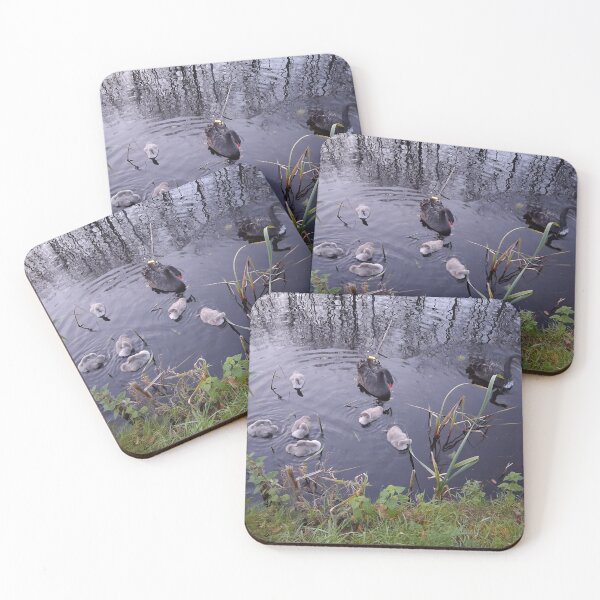 Item preview, Black Swan Family with Six Cygnets – Netherlands Autumn designed and sold by Hendrikslager.