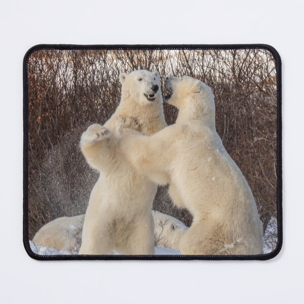 Item preview, Polar bear designed and sold by Lourdie5.