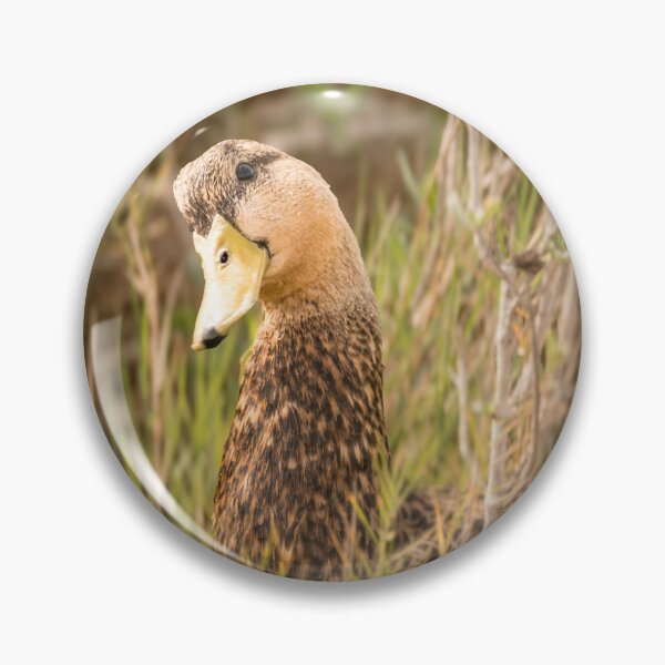 Item preview, Duck in Natural Habitat designed and sold by Debra Martz.