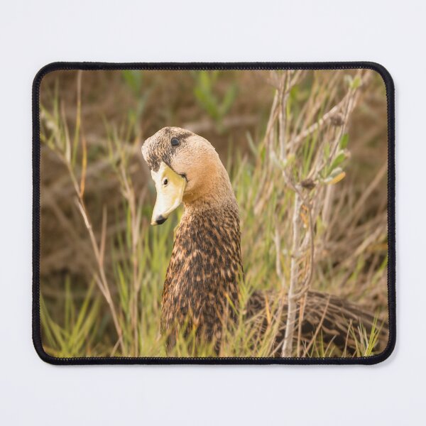 Item preview, Duck in Natural Habitat designed and sold by Debra Martz.