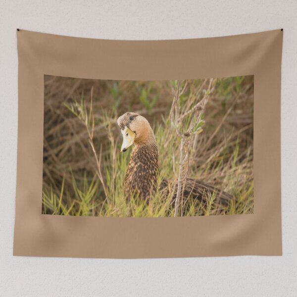 Item preview, Duck in Natural Habitat designed and sold by Debra Martz.