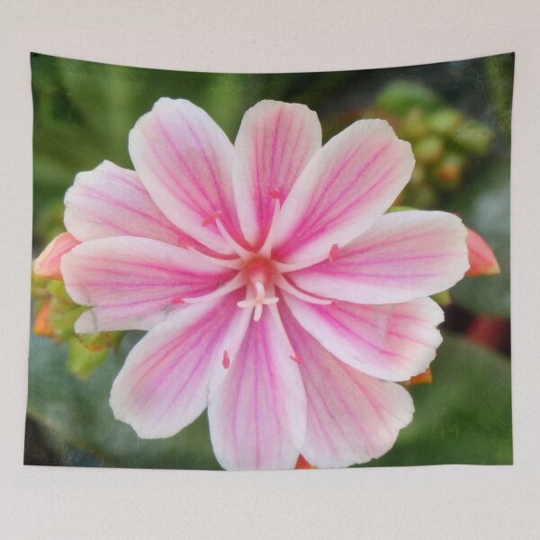 Item preview, Pink Blossom in Full Bloom designed and sold by Maxiverse.
