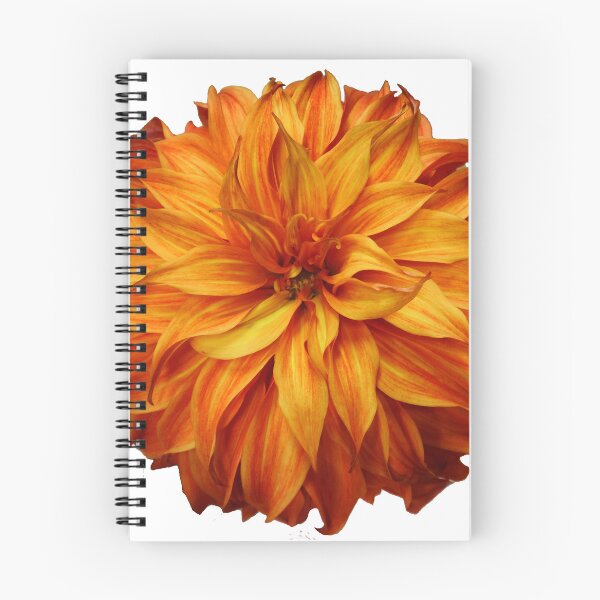 Item preview, Orange dahlia designed and sold by Maxiverse.