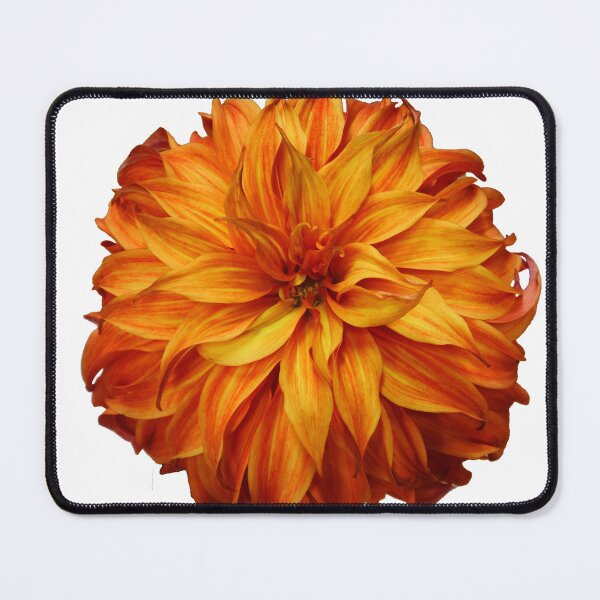 Item preview, Orange dahlia designed and sold by Maxiverse.