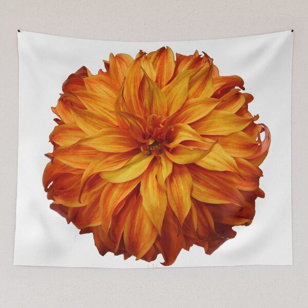Item preview, Orange dahlia designed and sold by Maxiverse.