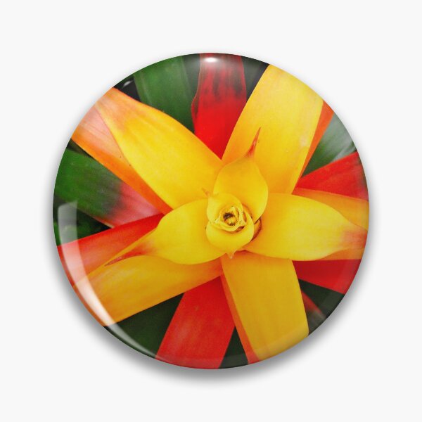 Item preview, Yellow star designed and sold by Maxiverse.