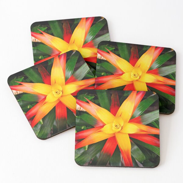 Item preview, Yellow star designed and sold by Maxiverse.