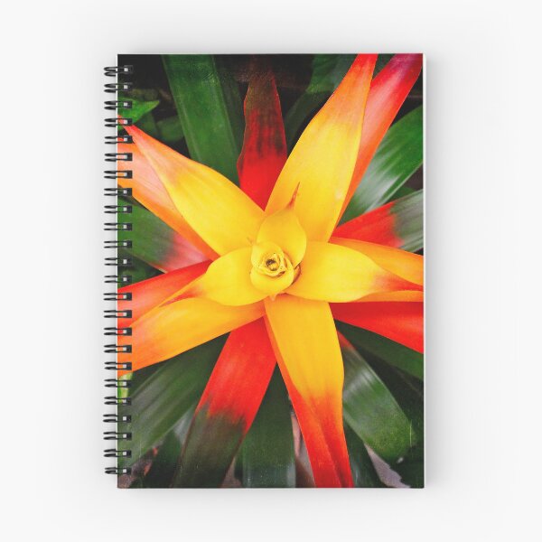 Item preview, Yellow star designed and sold by Maxiverse.