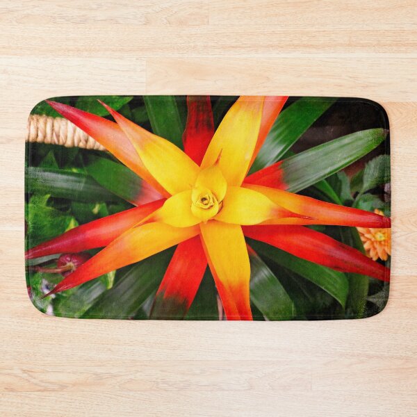 Item preview, Yellow star designed and sold by Maxiverse.