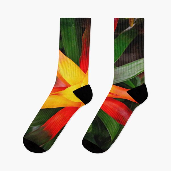 Item preview, Yellow star designed and sold by Maxiverse.