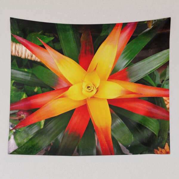 Item preview, Yellow star designed and sold by Maxiverse.
