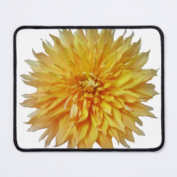 Item preview, Yellow star dahlia designed and sold by Maxiverse.