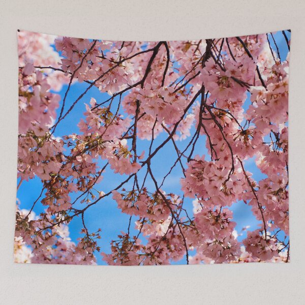 Item preview, Sakura designed and sold by Maxiverse.