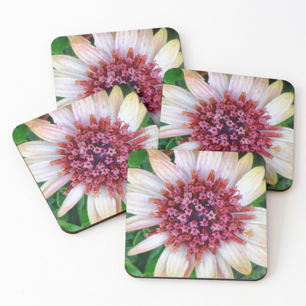 Item preview, Highway daisy designed and sold by Maxiverse.