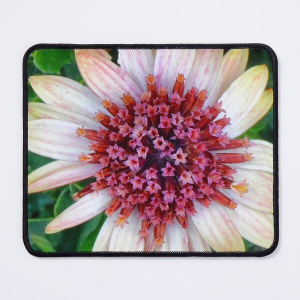 Item preview, Highway daisy designed and sold by Maxiverse.