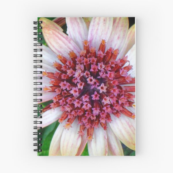 Item preview, Highway daisy designed and sold by Maxiverse.