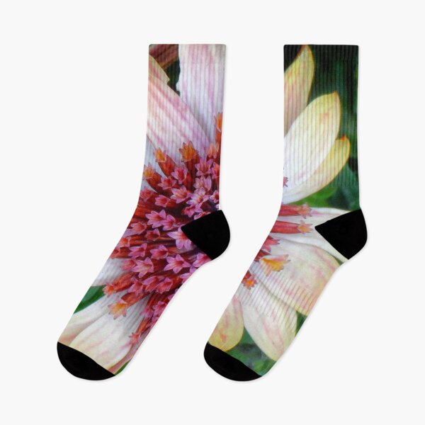 Item preview, Highway daisy designed and sold by Maxiverse.