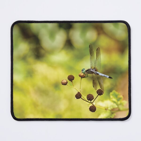 Item preview, Dragonfly Bokeh designed and sold by Kay Brewer.