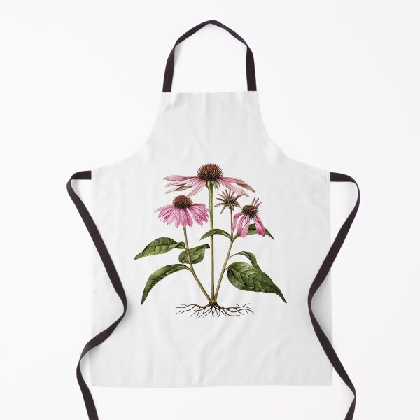 Item preview, Echinacea Botanical Illustration designed and sold by Liededrom..