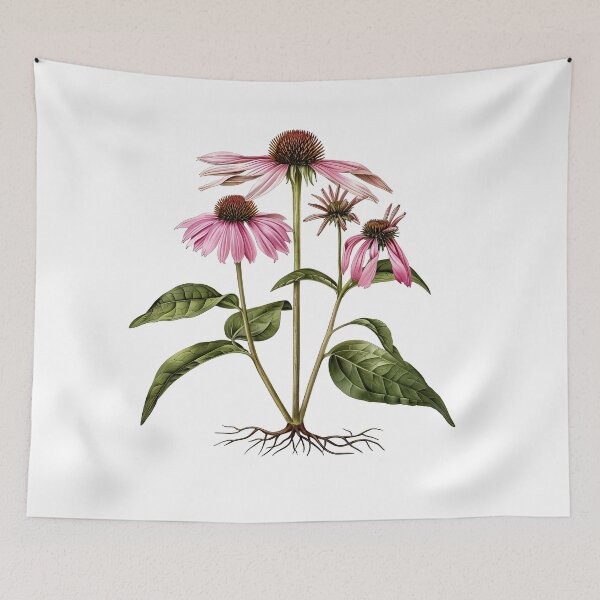 Item preview, Echinacea Botanical Illustration designed and sold by Liededrom..