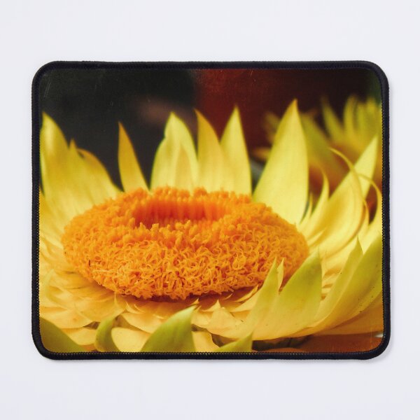 Item preview, Vibrant Yellow Bloom Close-up designed and sold by Maxiverse.