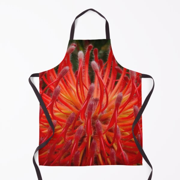 Item preview, Protea supernova designed and sold by Maxiverse.