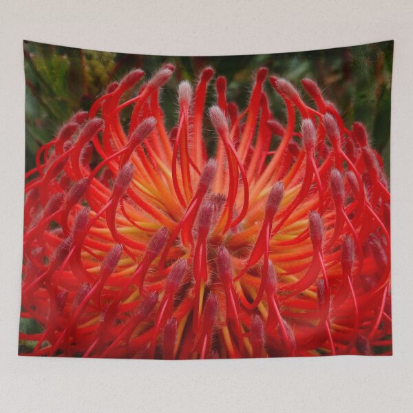 Item preview, Protea supernova designed and sold by Maxiverse.