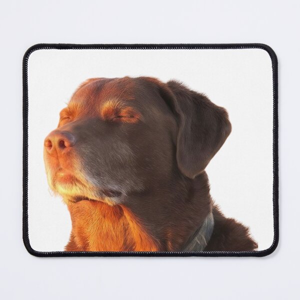 Item preview, Dog Closing Eyes Sunset Meme designed and sold by klaro45.
