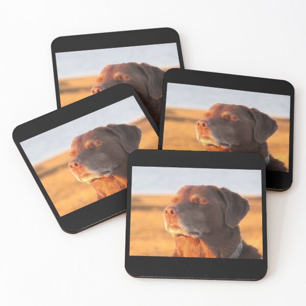 Item preview, Cooked Dog Meme designed and sold by klaro45.