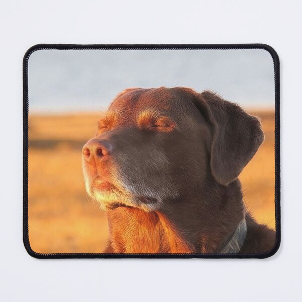 Item preview, Cooked Dog Meme designed and sold by klaro45.