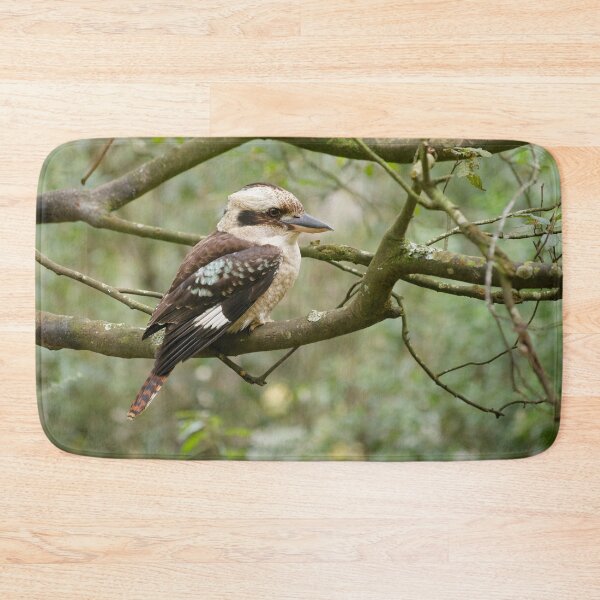 Item preview, Kookaburra in the Forest designed and sold by Barry Callister Photography.