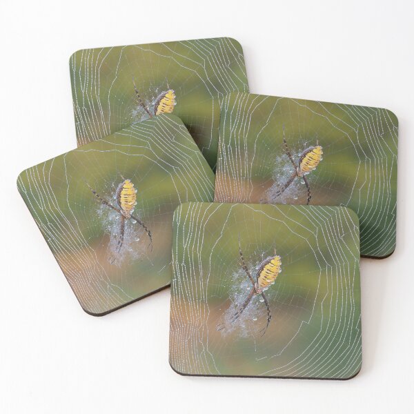 Item preview, Banded Garden Spider designed and sold by John Reaume.