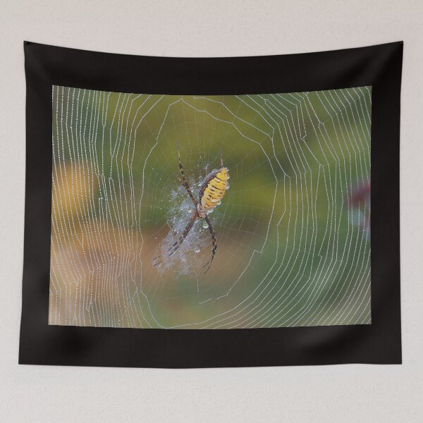 Item preview, Banded Garden Spider designed and sold by John Reaume.
