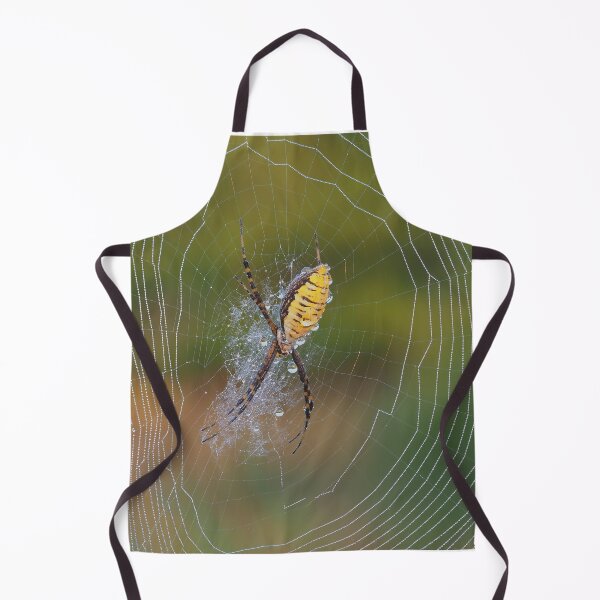 Item preview, Banded Garden Spider designed and sold by John Reaume.