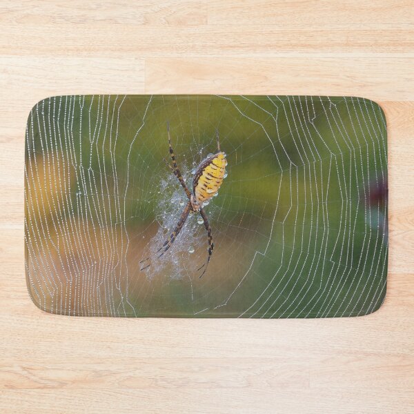 Item preview, Banded Garden Spider designed and sold by John Reaume.