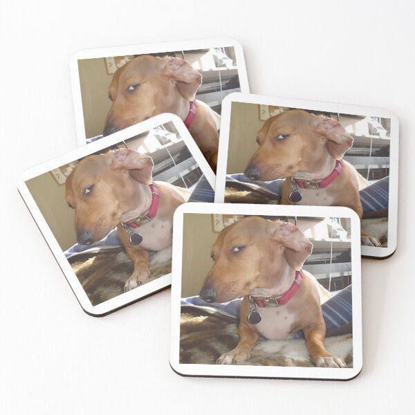 Item preview, Suspicious Look Dog Meme designed and sold by klaro45.